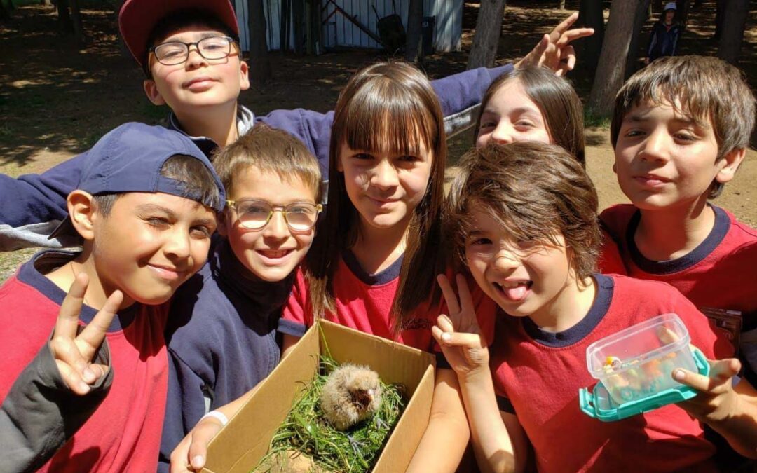 Vida en el Colegio Patagonia